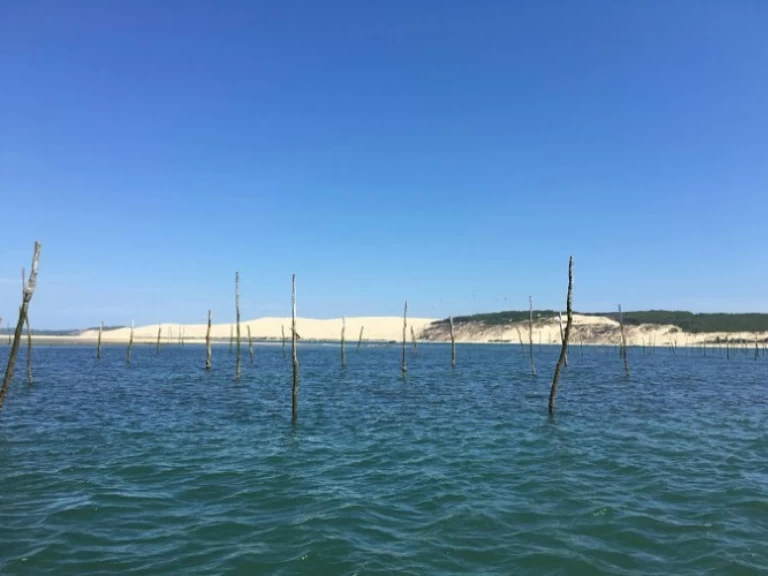 Wynajmij Motorówka z lub bez skippera Bénéteau w Arcachon