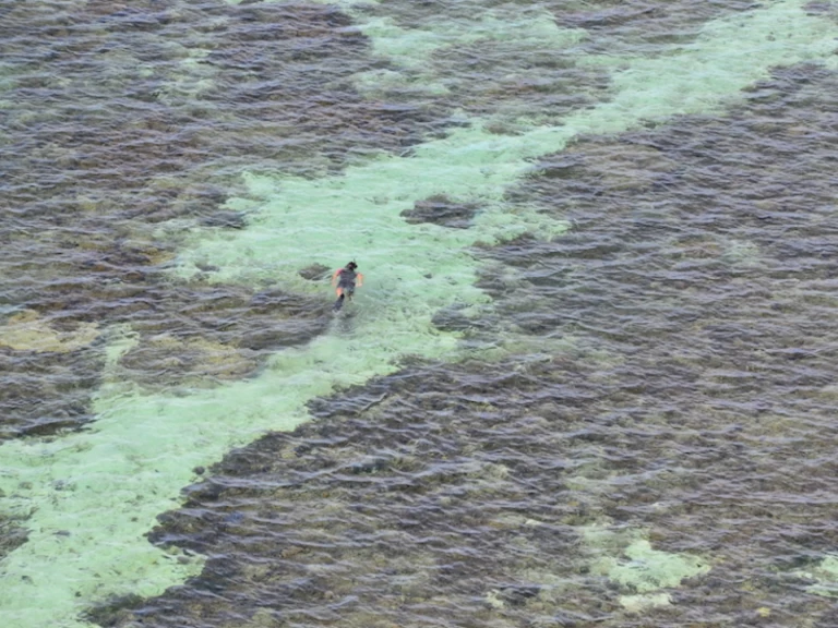 Fountaine Pajot Bahia 46 między profesjonalistami a osobami prywatnymi w Nouméa