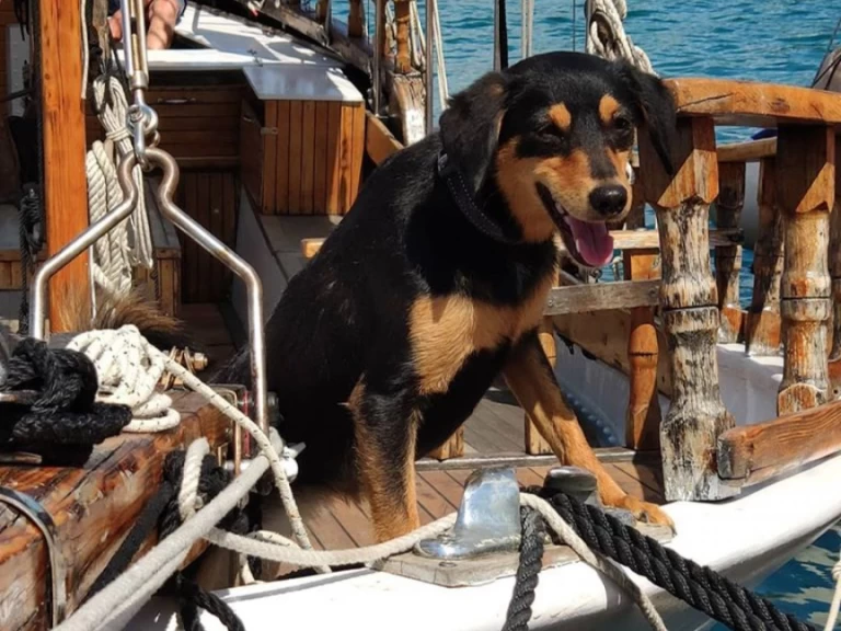 Wynajem w Crikvenica- GAJETA EX-LIFEBOAT na SamBoat