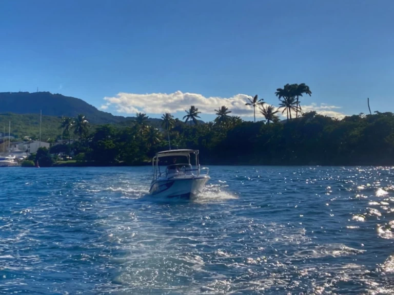 Wynajem w Les Trois-Îlets- Lobster marion 7,3 na SamBoat