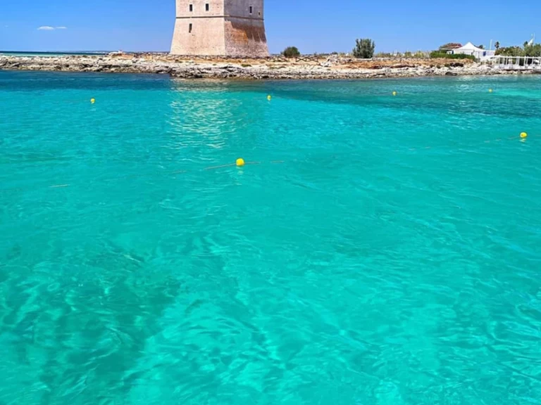 Wynajem łodzi Enterprise Marine 46 FLY BRIDGE w Porto Cesareo na SamBoat 