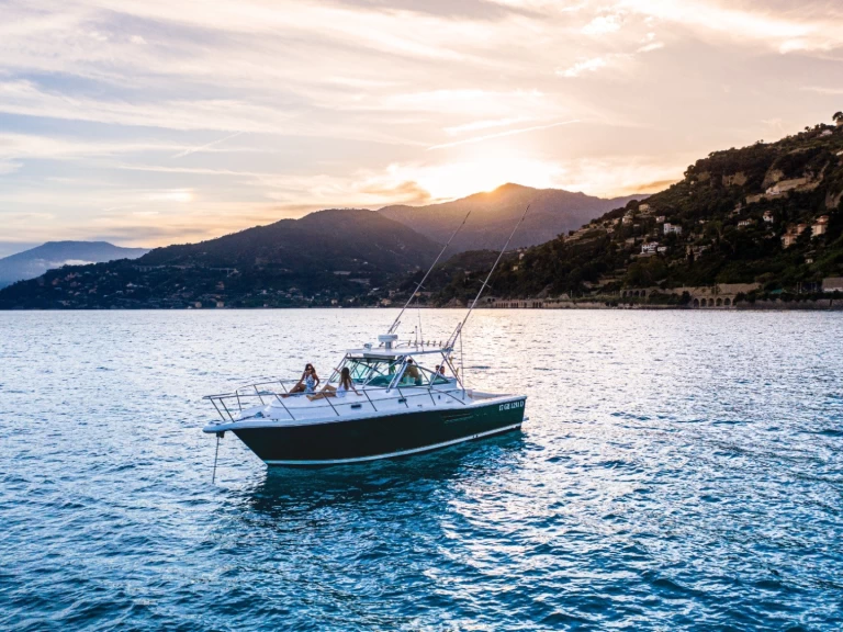 Wynajem Motorówka PURSUIT  z patentem 