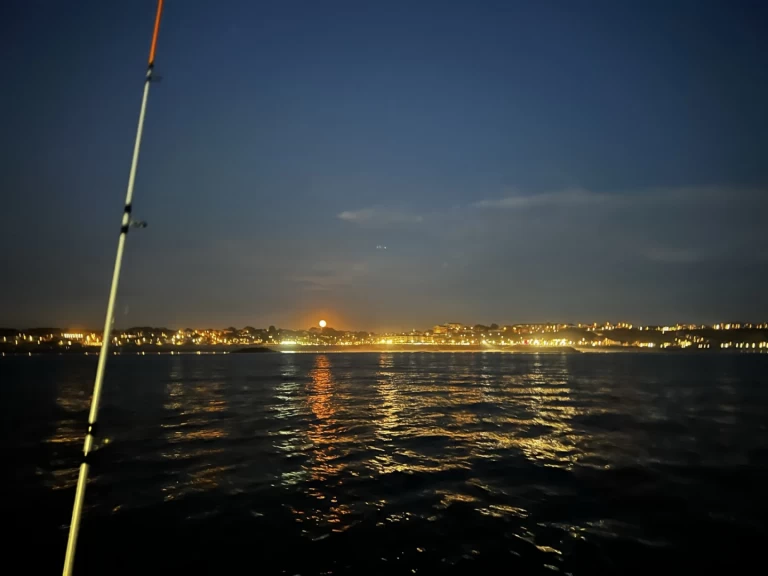 Wynajem Motorówka w Bayonne - Ultramar Ultra 515 Open