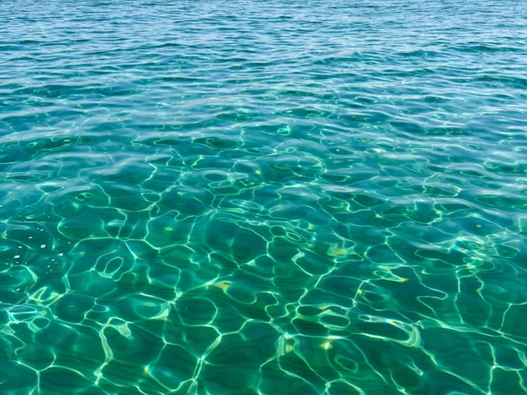 Wynajem Motorówka Sea Ray z patentem 