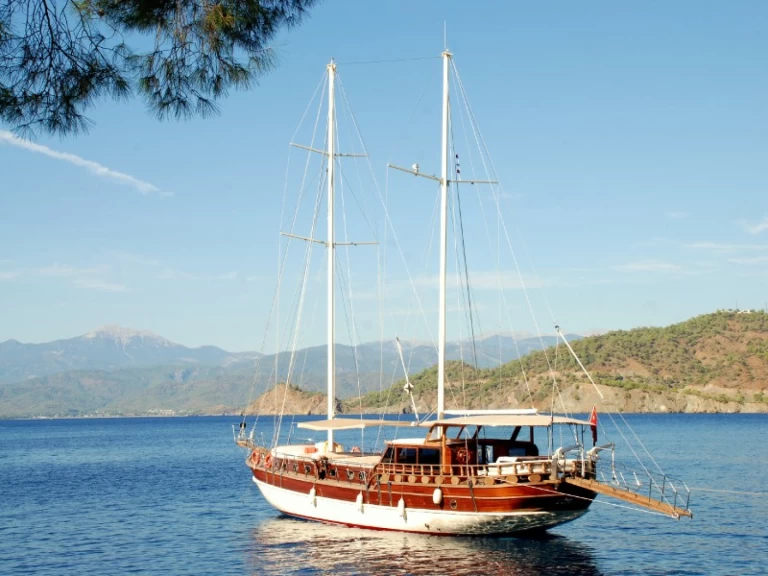 Wynajem Żaglowiec  z patentem 