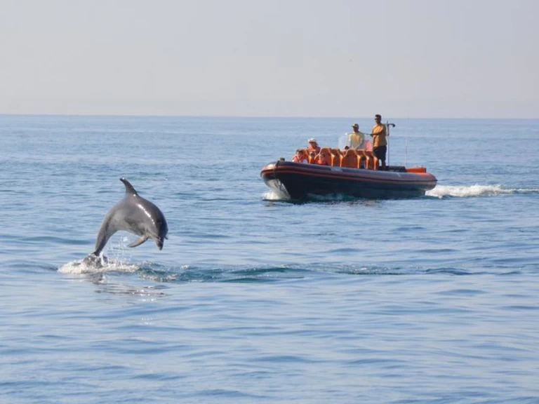 Łódż półsztywna do wynajmu w Vilamoura w najlepszej cenie