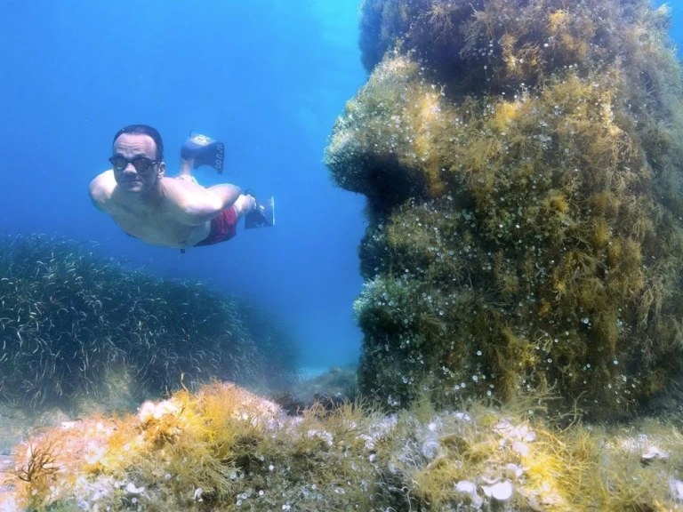 Wynajem łodzi Karnic SL 800 w Cannes na SamBoat 