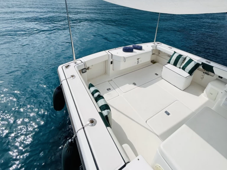 Wynajem Motorówka PURSUIT  z patentem 