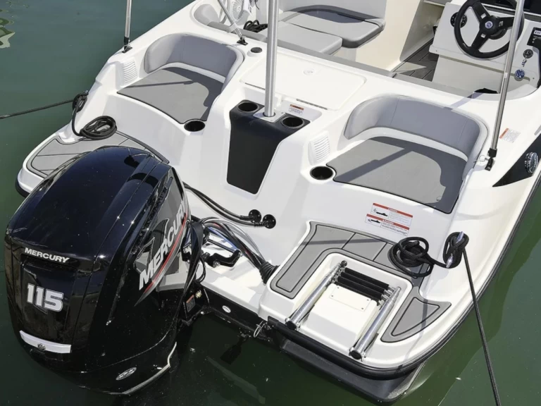 Wynajem łodzi Bayliner M17 w Aix-les-Bains na SamBoat 