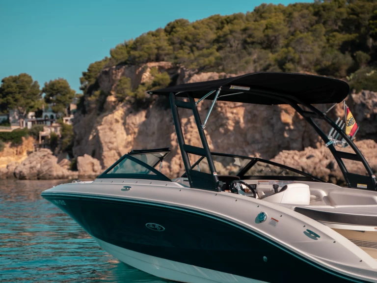 Wynajem Motorówka Sea Ray z patentem 