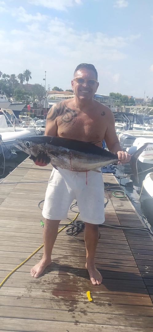 Wynajem łodzi Sealine Ambassador 360 w Ognina - Picanello - Barriera - Canalicchio na SamBoat 