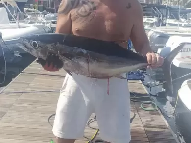 Wynajem łodzi Sealine Ambassador 360 w Ognina - Picanello - Barriera - Canalicchio na SamBoat 