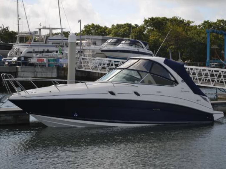 Wynajem łodzi Sea Ray Sea Ray 305 Sundancer w Southampton na SamBoat 