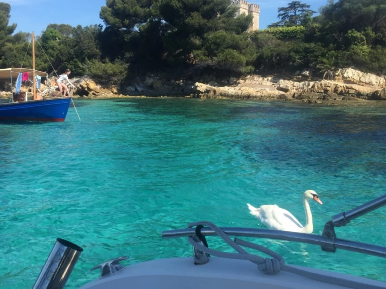 Ranieri Shadow 22 S między profesjonalistami a osobami prywatnymi w Cannes