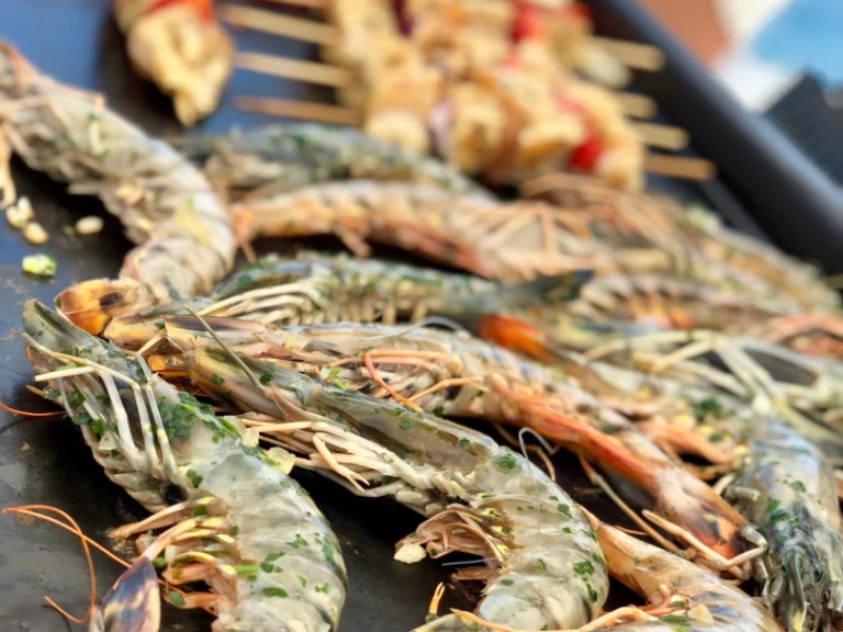 Wynajem Katamaran Plan-Caroff z patentem 