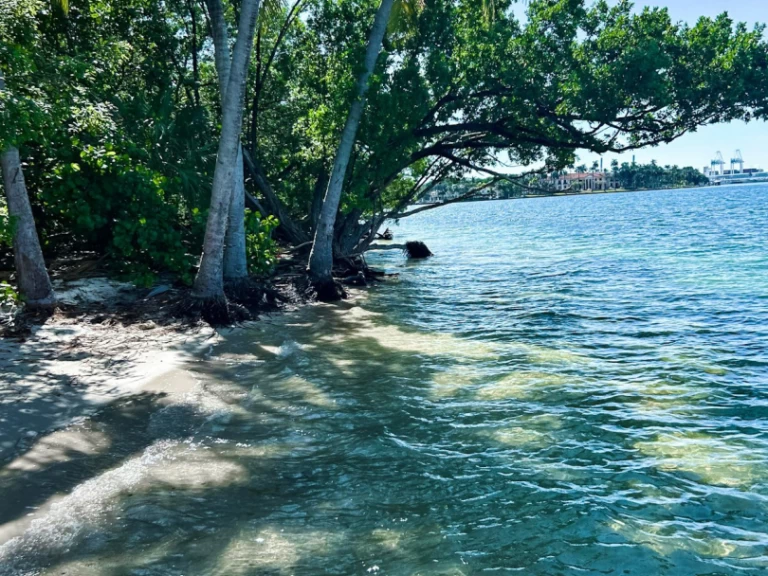 Sea Ray Sea Ray 270 Sundeck Outboard między profesjonalistami a osobami prywatnymi w Miami