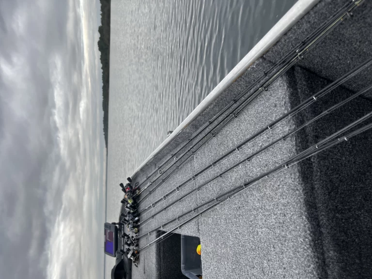 Wynajem Motorówka La Maltiere z patentem 