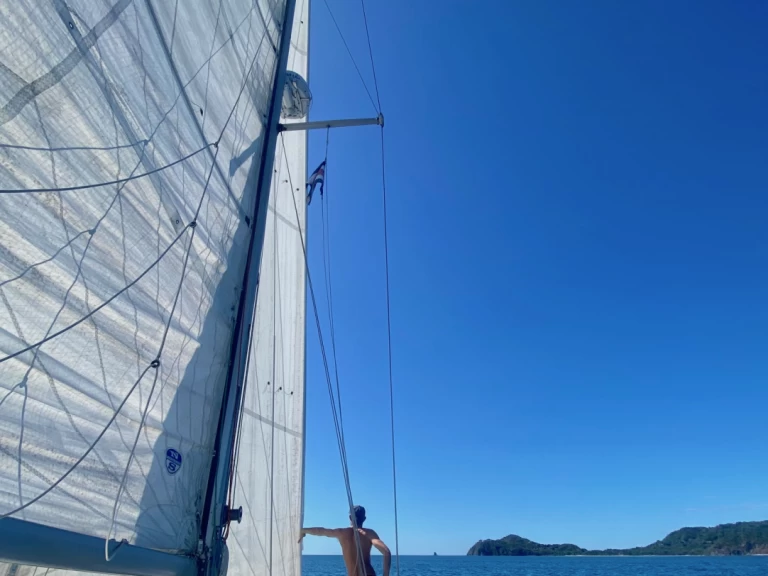 Wynajem Katamaran Performance Cruising z patentem 