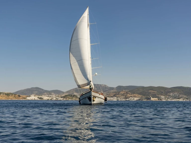 Wynajem Żaglowiec Custom Made z patentem 