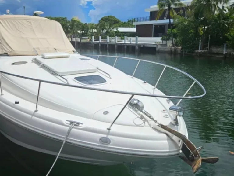 Wynajem Motorówka Sea Ray z patentem 