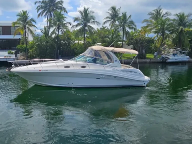 Sea Ray Sea Ray 340 Sundancer między profesjonalistami a osobami prywatnymi w Miami