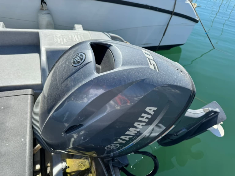 Wynajem Łódż półsztywna Whaly z patentem 