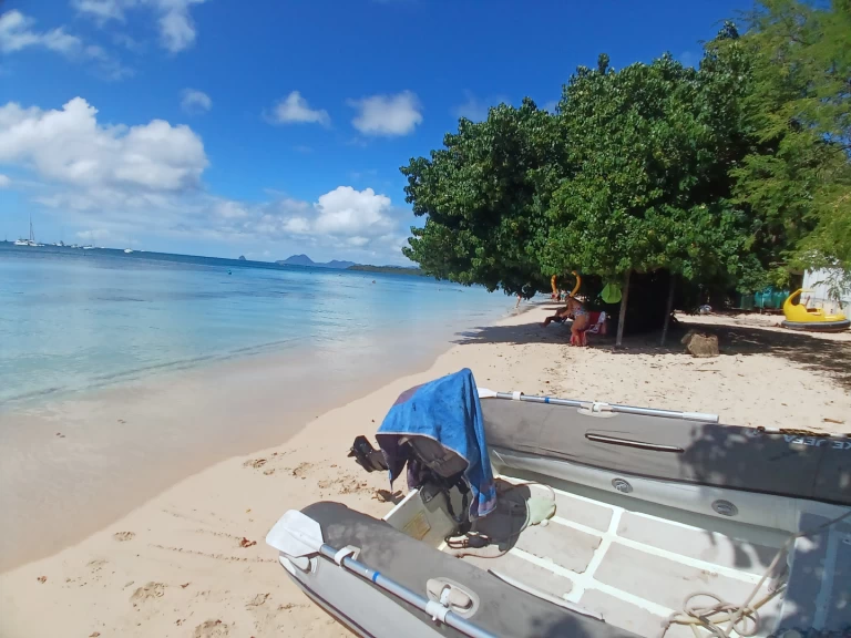 Wynajem łodzi Bavaria Bavaria 46 Cruiser w Le Marin na SamBoat 