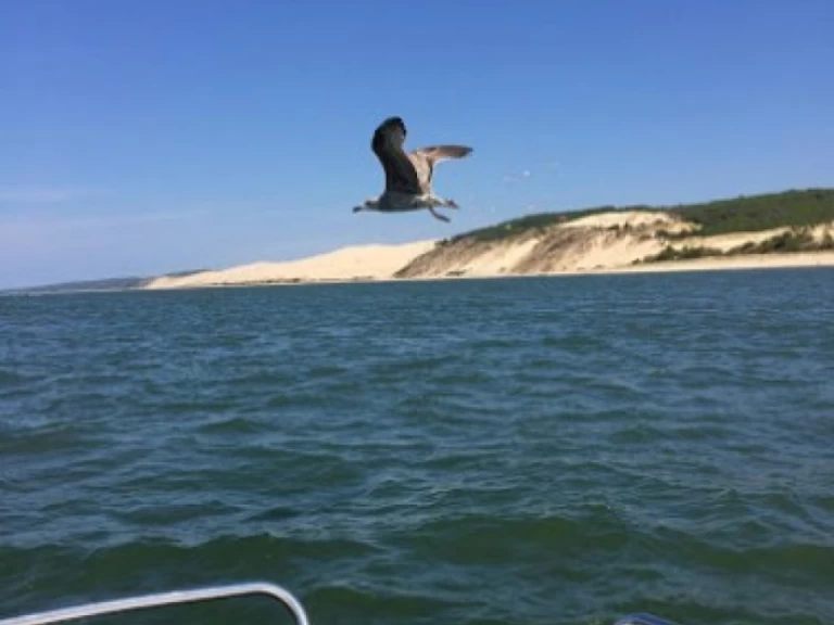 Wynajem Motorówka Bénéteau z patentem 