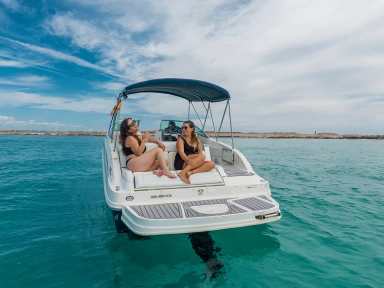 Sea Ray Sea Ray 260 Sundeck między profesjonalistami a osobami prywatnymi w Marina Ibiza