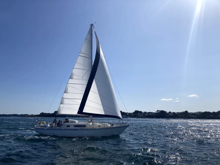 Wynajmij Amel kirk 36 w Saint-Mandrier-sur-Mer