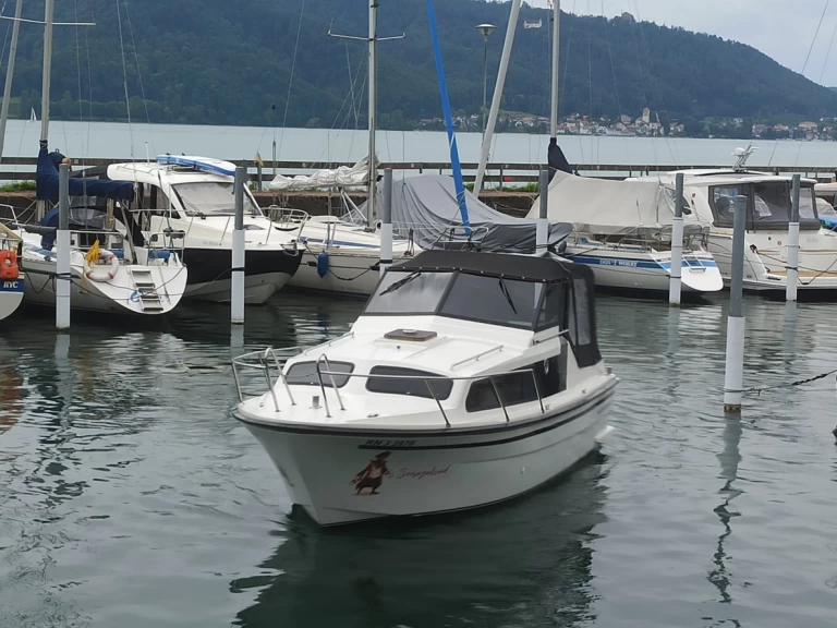 elna 750 między profesjonalistami a osobami prywatnymi w Bodman-Ludwigshafen