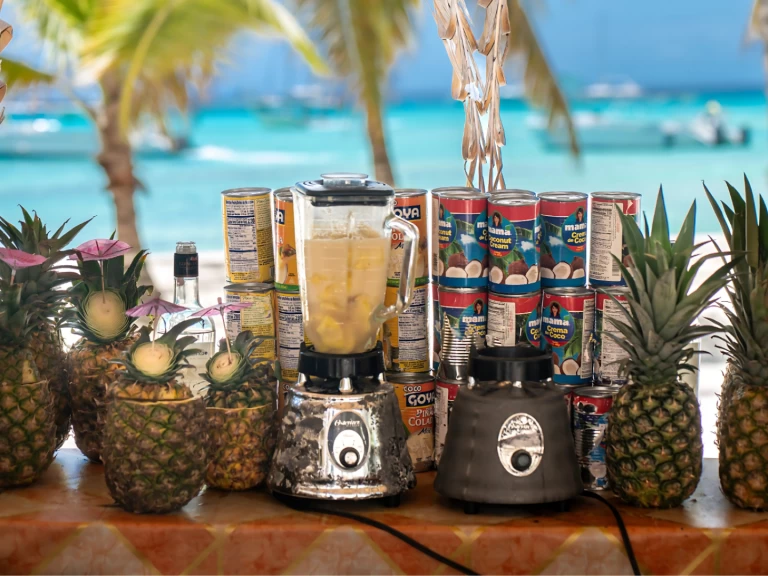 Wynajem Katamaran w Zona Turistica De Bávaro - Yamaha Yamaha FX HO