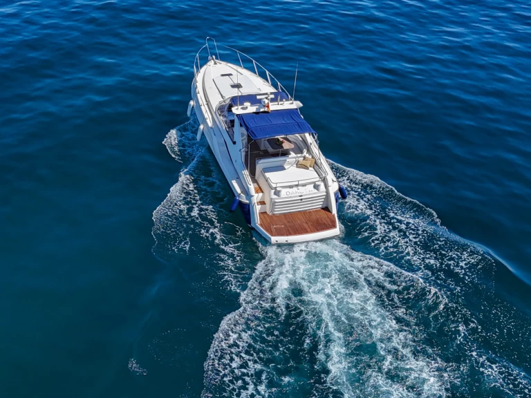 Wynajem Motorówka Sunseeker z patentem 