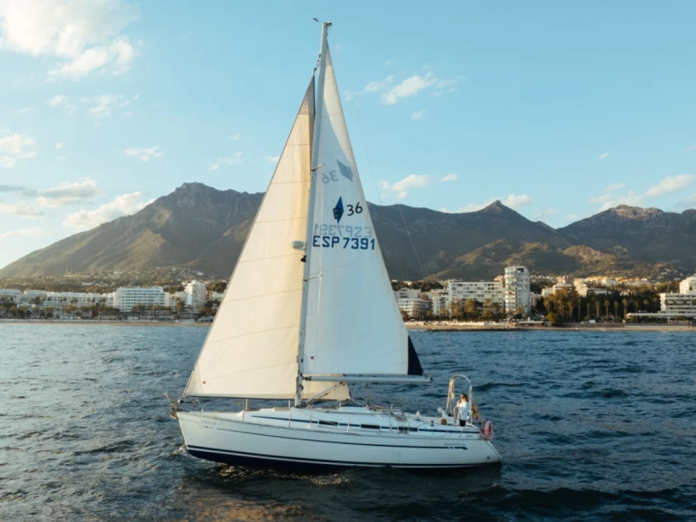 Bavaria Bavaria 36 Cruiser między profesjonalistami a osobami prywatnymi w Puerto Deportivo de Marbella