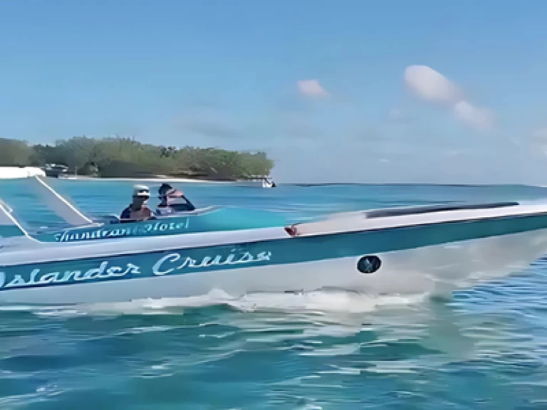 Wynajmij Motorówka z lub bez skippera Cobra w Blue bay