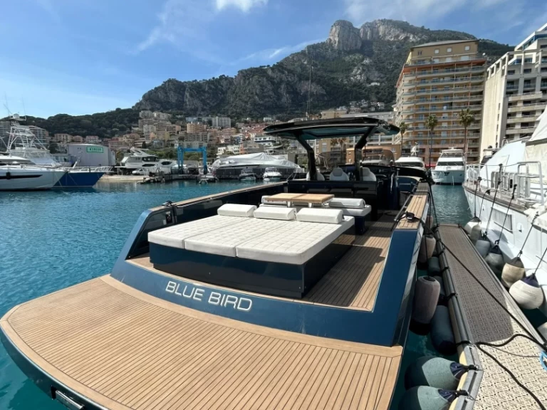 Wynajmij Pardo 43 Blue Bird w Golfe-Juan