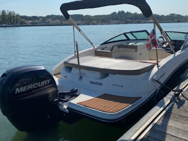 Wynajem w Anglet- Sea Ray Sea Ray 19 SPX OB na SamBoat