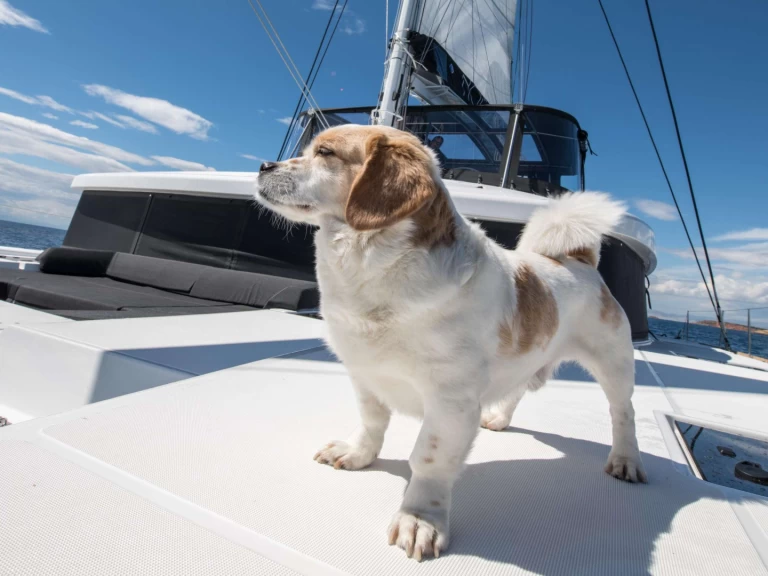 Luksusowy jacht do wynajmu w Lavrio w najlepszej cenie