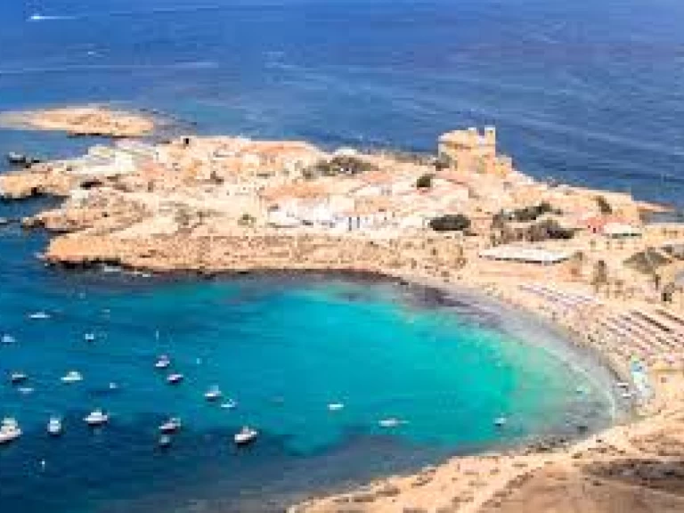 Wynajmij Motorówka z lub bez skippera Searib's w Port d'Alicante