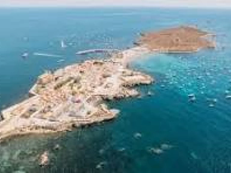 Wynajem Motorówka Searib's z patentem 