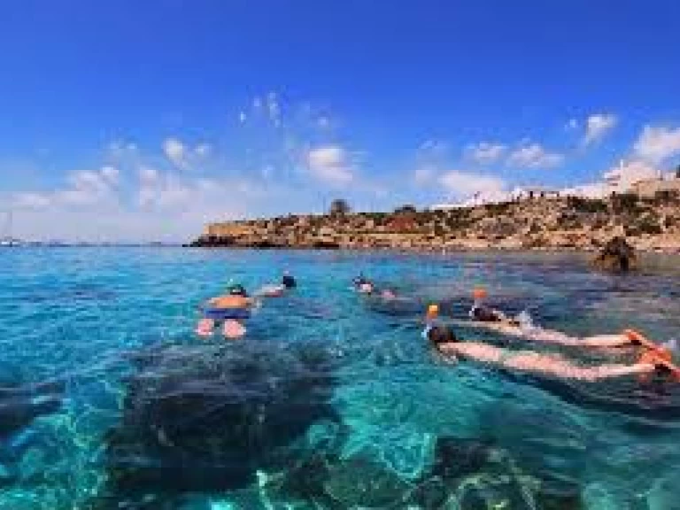 Wynajem Motorówka w Port d'Alicante - Searib's Searib's Open Fishing 580