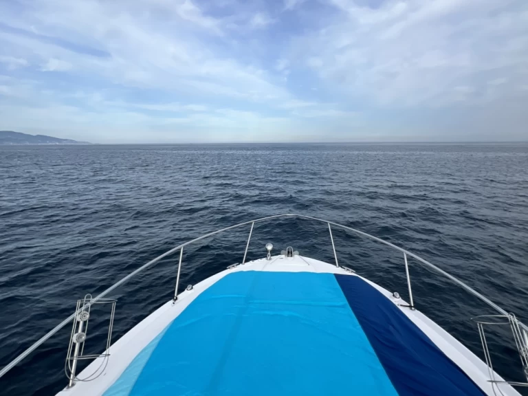 Wynajem łodzi Sea Ray Sea Ray 335 Sundancer w Monako na SamBoat 