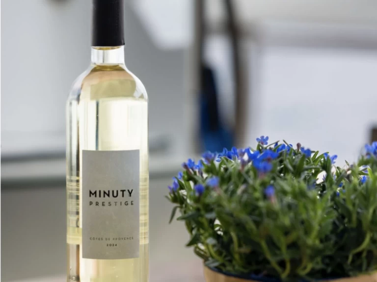 Wynajem Katamaran Lagoon z patentem 