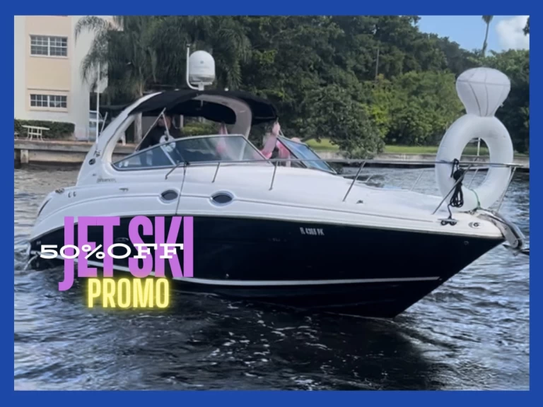 Wynajem Motorówka Sea Ray z patentem 