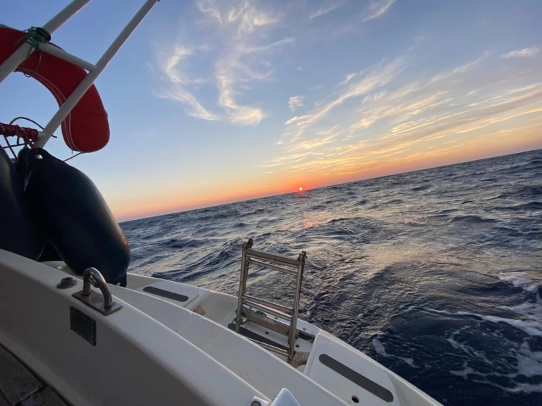 Contest contest 34 między profesjonalistami a osobami prywatnymi w Marsylia