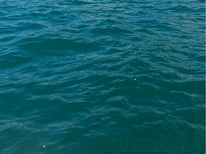 Wynajmij Bénéteau Flyer 650 WA w Le Cap d'Agde