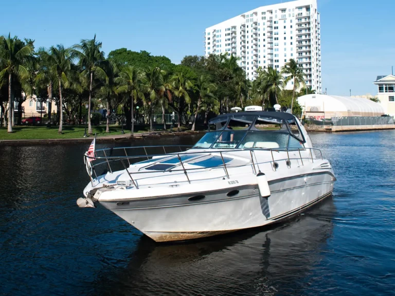 Wynajem Motorówka Sea Ray z patentem 