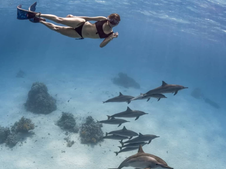 Wynajem w Marsa Alam- Bali Bali 4.0 na SamBoat