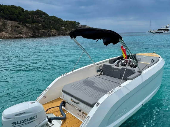 Valory PREMIUM między profesjonalistami a osobami prywatnymi w Palma de Mallorca