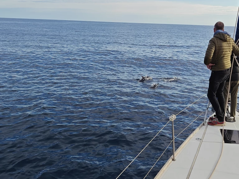 Żaglowiec do wynajmu w Saint-Cyprien-Plage w najlepszej cenie